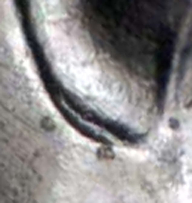 New-Variety-1974-D-DDO-Doubled-Ear?
